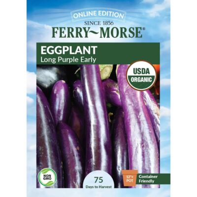 FERRY MORSE 100% EGGPLANT LONG PURPLE EARLY