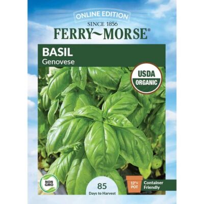 FERRY MORSE   FERRYMORSE BASIL GENOVESE 175MG