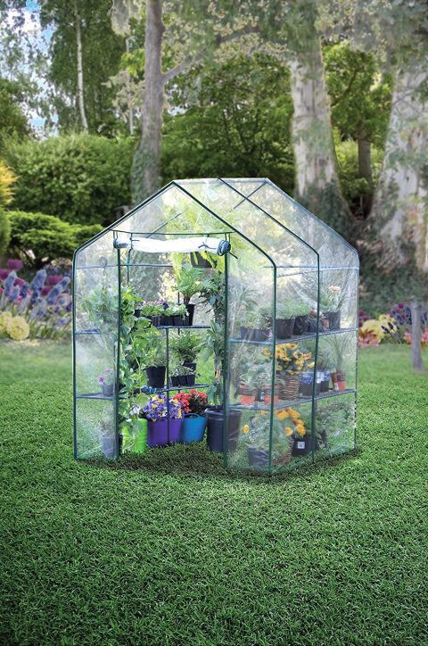 WALK-IN GREENHOUSE LARGE - Image 2