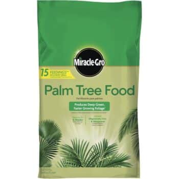 20LB MIRACLE GRO PALM TREE FOOD