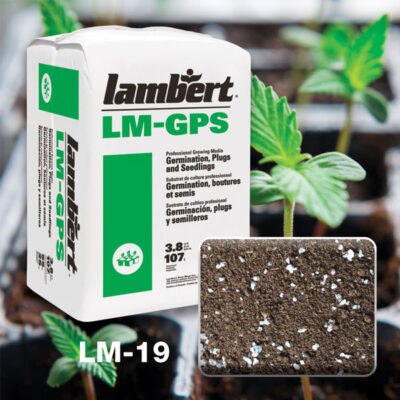3.8CF LAMBERT LM-2 GERMINATION MIX COMPRESSED