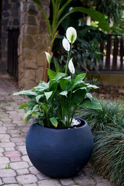 35" BOLA SELF-WATERING PLANTER - Image 3