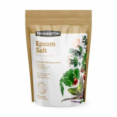 7LB PENNINGTON EPSOM SALT