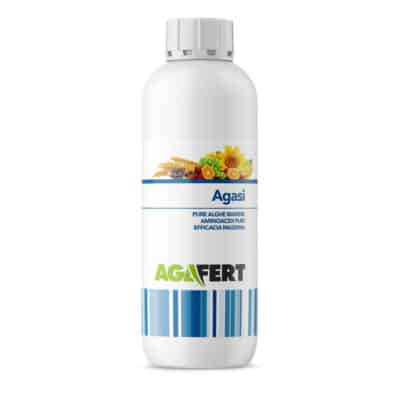 AGASI 1LT - Image 3
