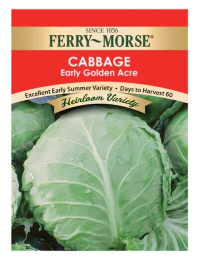 CABBAGE- EARLY GOLDEN ACRE HEIRLOOM