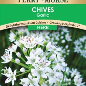 CHIVES GARLIC SEEDS