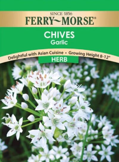 CHIVES GARLIC SEEDS
