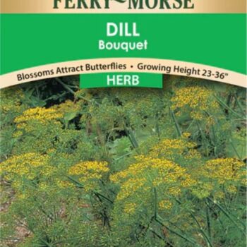 DILL- BOUQUET