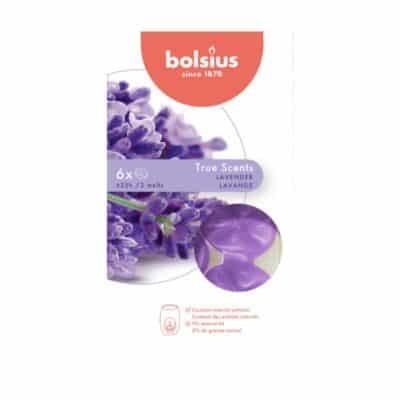 FRAGRANCED WAX MELT PACK OF 6