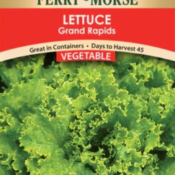 LETTUCE- GRAND RAPIDS
