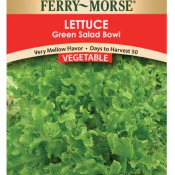 LETTUCE- GREEN SALAD BOWL