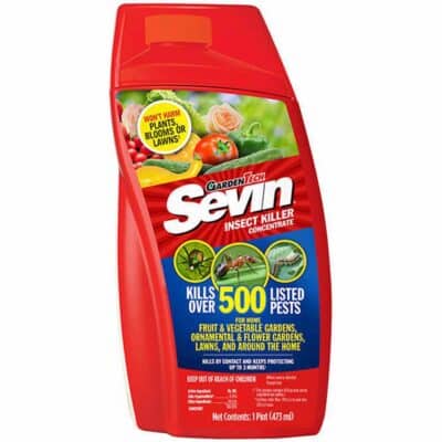 LIQUID SEVIN INSECT KILLER CONCENTRATE 32OZ
