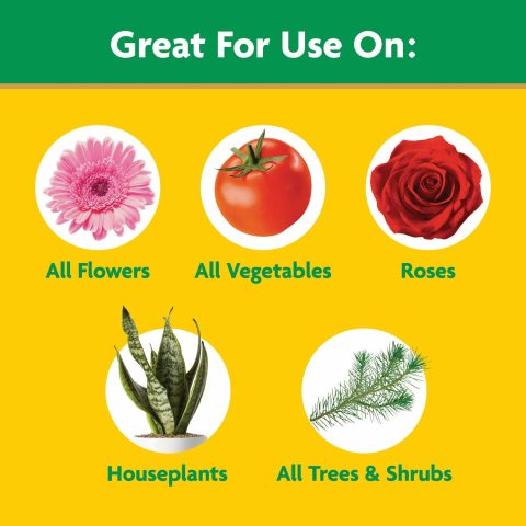 MIRACLE-GRO ALL PURPOSE PLANT FOOD 1.5LB - Image 3