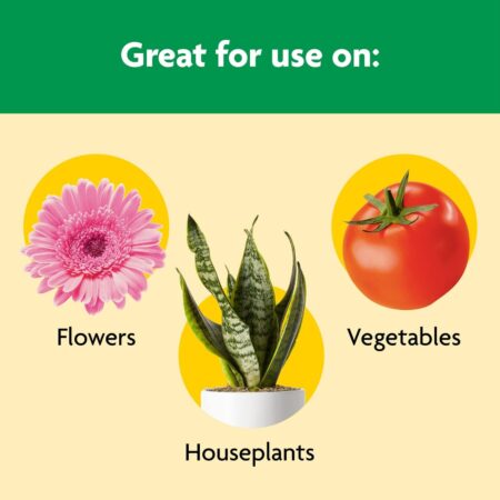 MIRACLE GRO ALL PURPOSE SHAKE N FEED 8LB BAG - Image 2
