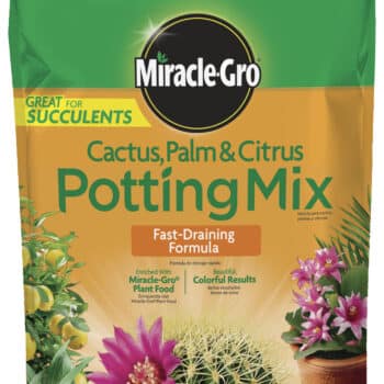 MIRACLE GRO CACTUS PALM & CITRUS POTTING SOIL MIX