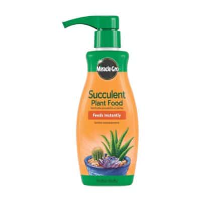 MIRACLE GRO FOAMING SUCCULENT 8OZ PLANT FOOD