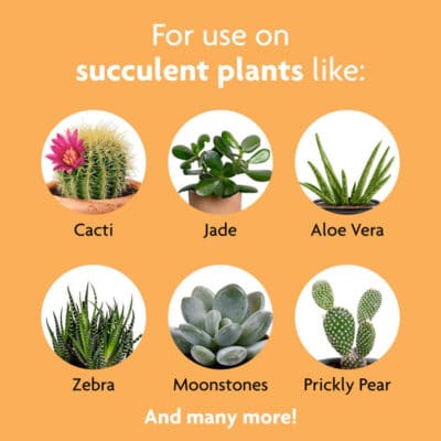 MIRACLE GRO FOAMING SUCCULENT 8OZ PLANT FOOD - Image 3