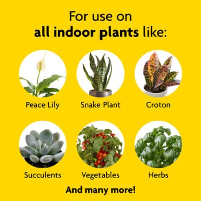 MIRACLE GRO INDOOR 8OZ PLANT FOOD - Image 4