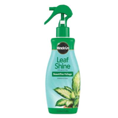 MIRACLE-GRO LEAF SHINE 8 OZ.