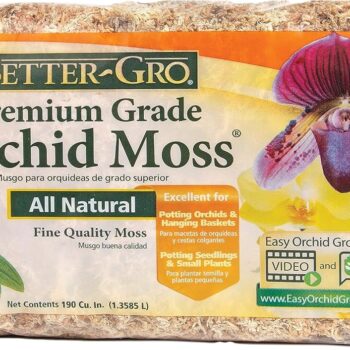 ORCHID MOSS BETTER-GRO