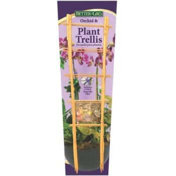 ORCHID TRELLIS BETTER-GRO