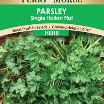 PARSELY- ITALIAN SINGLE FLAT