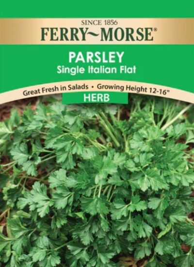 PARSELY- ITALIAN SINGLE FLAT