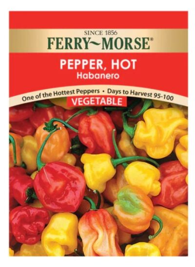 PEPPER- HABANERO
