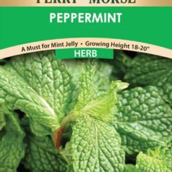 PEPPERMINT FERRY MORSE