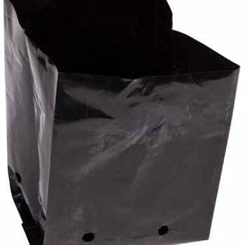 PLANT BAG PLASTIC 10X10"