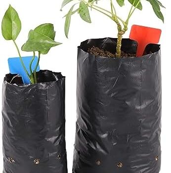 PLANT BAG PLASTIC 13X15"