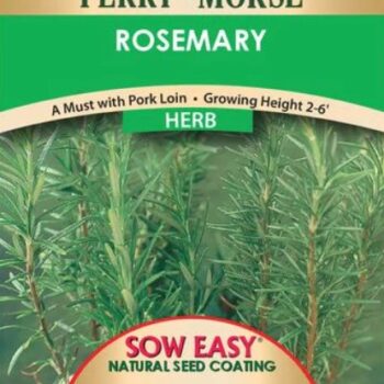 ROSEMARY SOW EASY 100 SEEDS