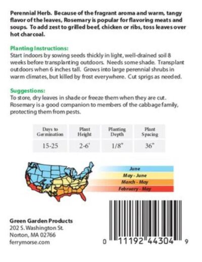 ROSEMARY SOW EASY 100 SEEDS - Image 2