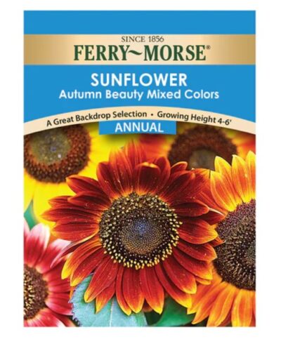 SUNFLOWER SEEDS- AUTUMN BEAUTY MIXED COLOURS - Image 2