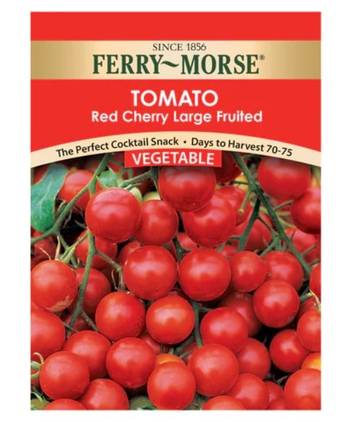 TOMATO RED CHERRY LARGE FRUITED Antigua Home & Garden Centre