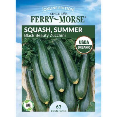 SUMMER SQUASH BLACK BEAUTY 3G FERRY MORSE
