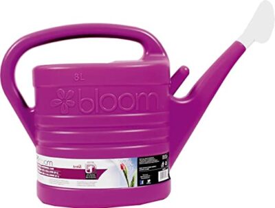 WATERING CAN  2 GAL./8L BLOOM